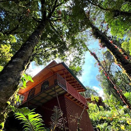 Cabana Anturios Сан-Хосе Екстер'єр фото