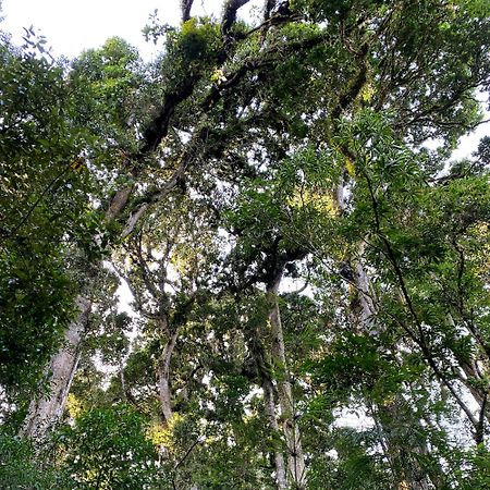 Cabana Anturios Сан-Хосе Екстер'єр фото