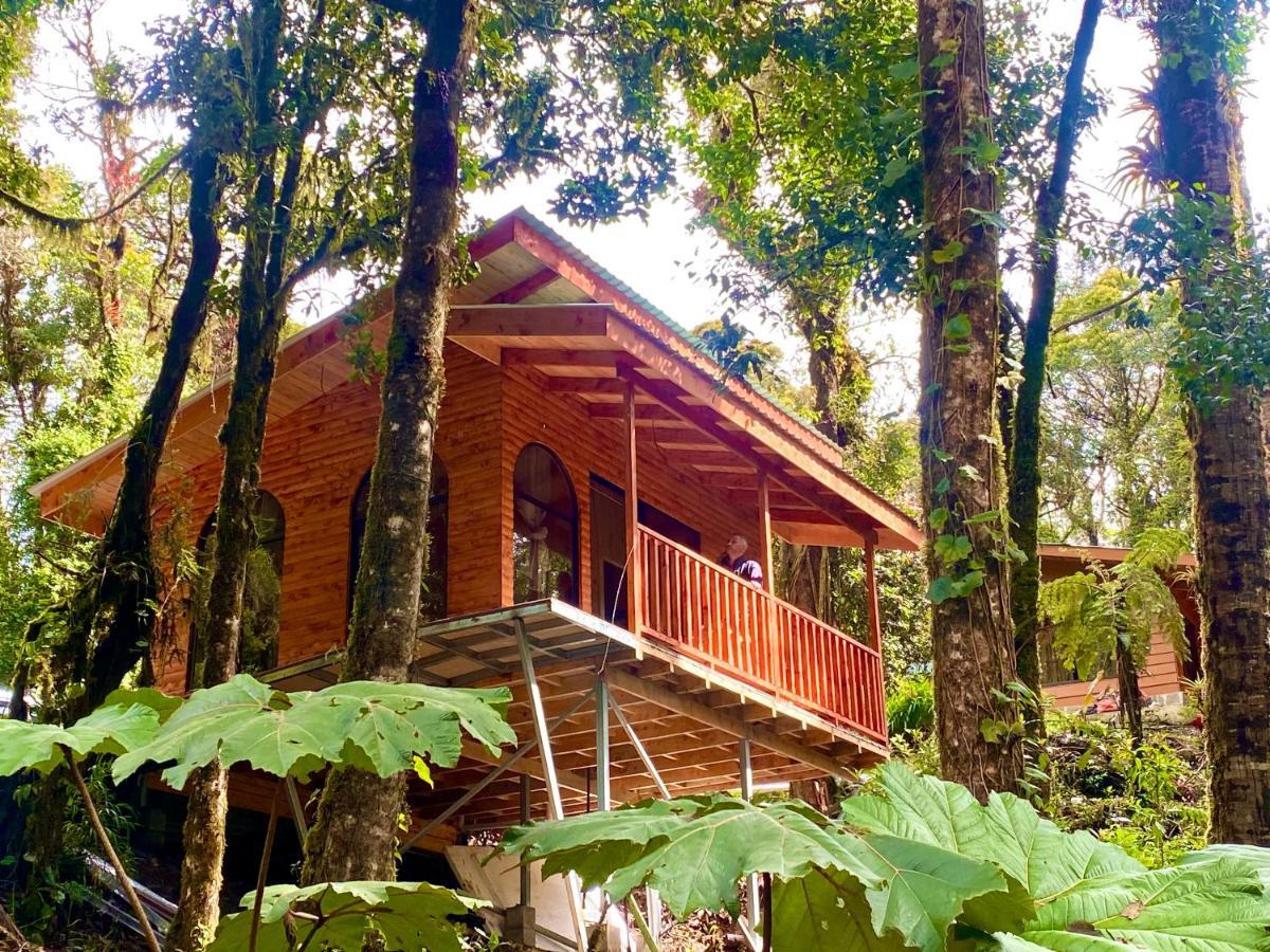 Cabana Anturios Сан-Хосе Екстер'єр фото