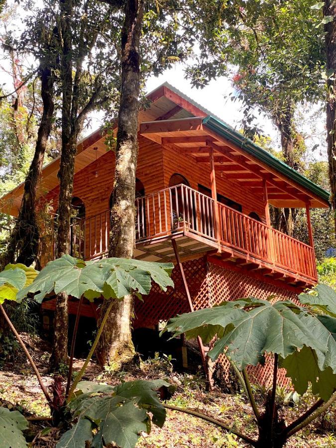 Cabana Anturios Сан-Хосе Екстер'єр фото