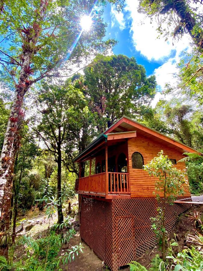 Cabana Anturios Сан-Хосе Екстер'єр фото