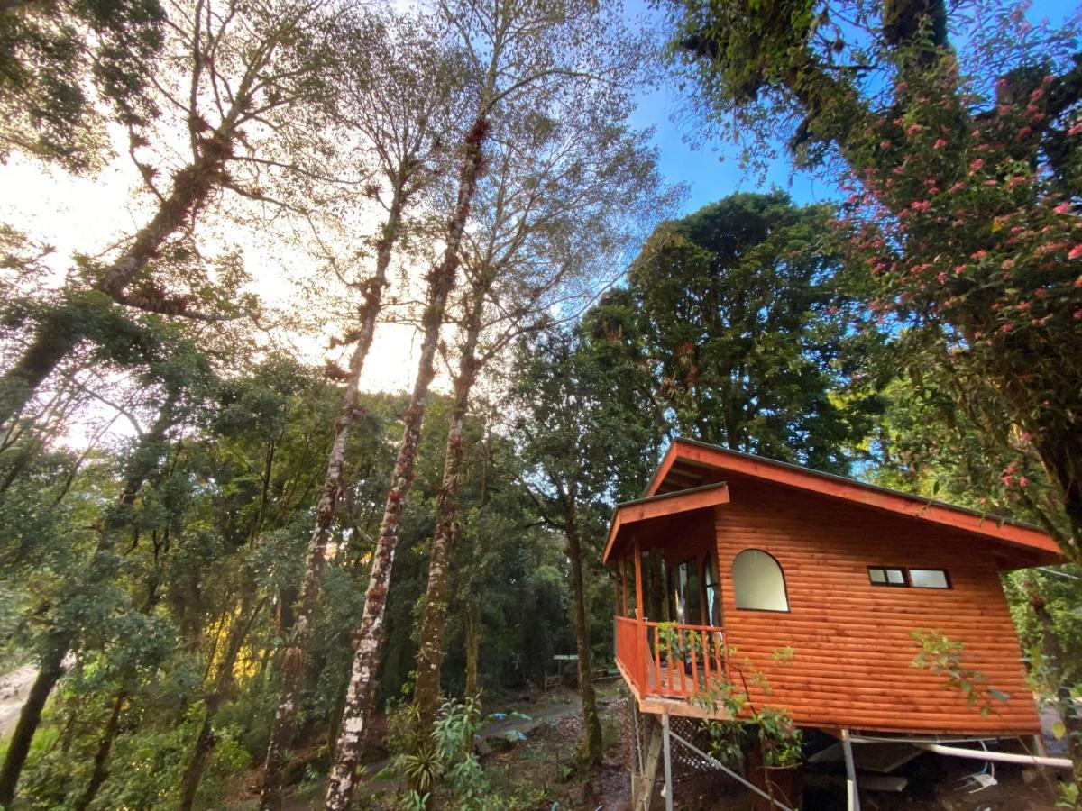 Cabana Anturios Сан-Хосе Екстер'єр фото