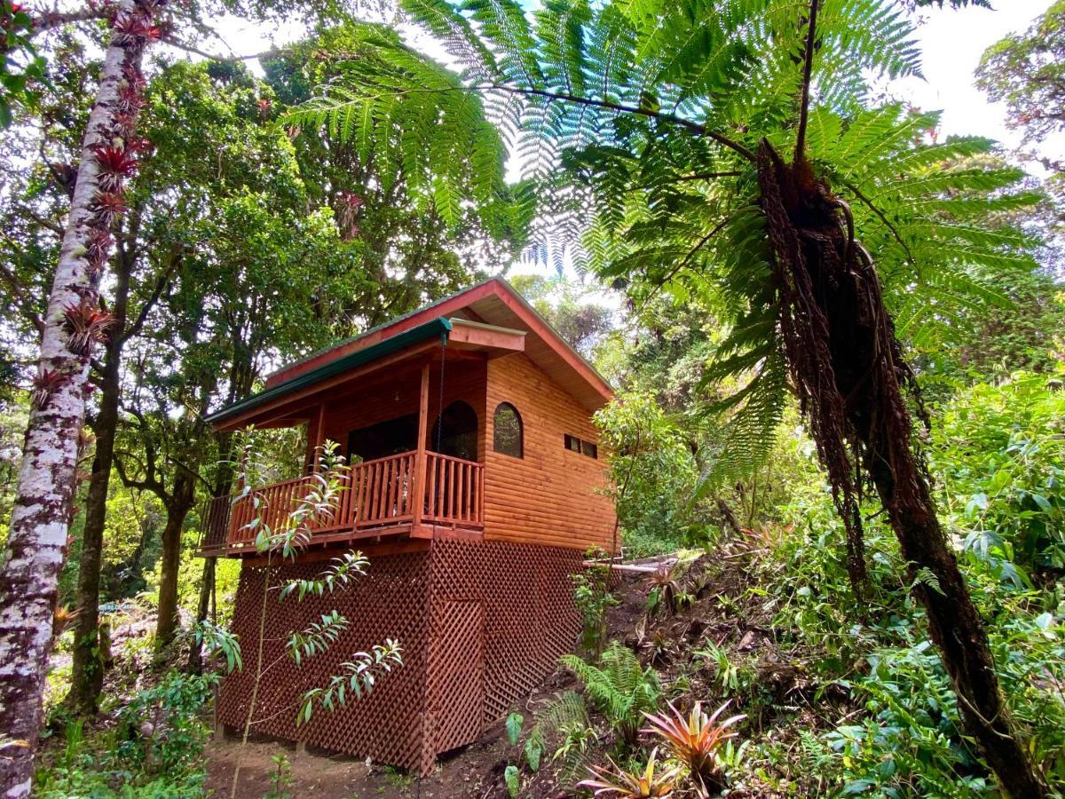 Cabana Anturios Сан-Хосе Екстер'єр фото