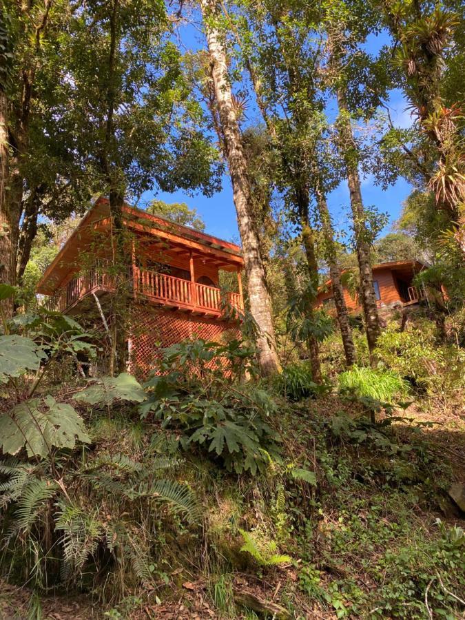 Cabana Anturios Сан-Хосе Екстер'єр фото