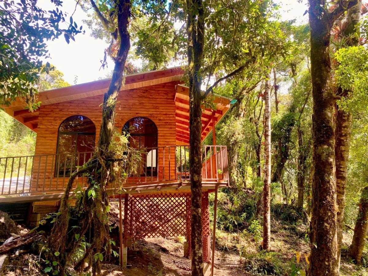 Cabana Anturios Сан-Хосе Екстер'єр фото