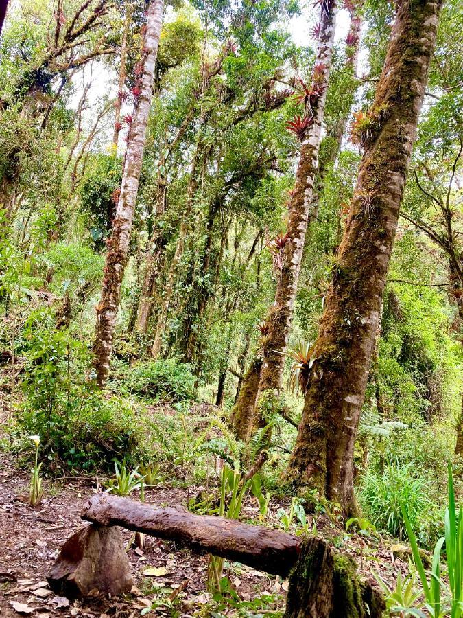 Cabana Anturios Сан-Хосе Екстер'єр фото