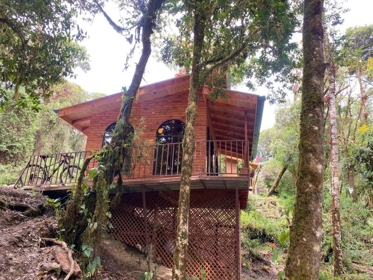 Cabana Anturios Сан-Хосе Екстер'єр фото