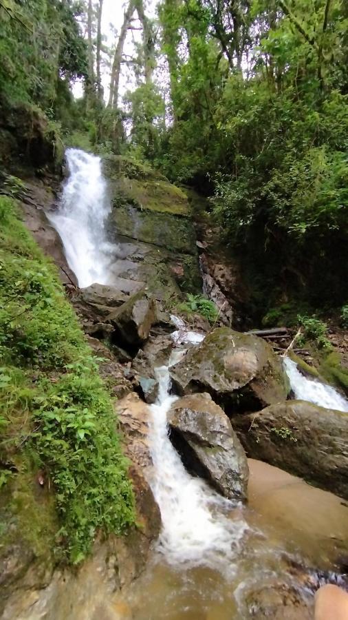 Cabana Anturios Сан-Хосе Екстер'єр фото