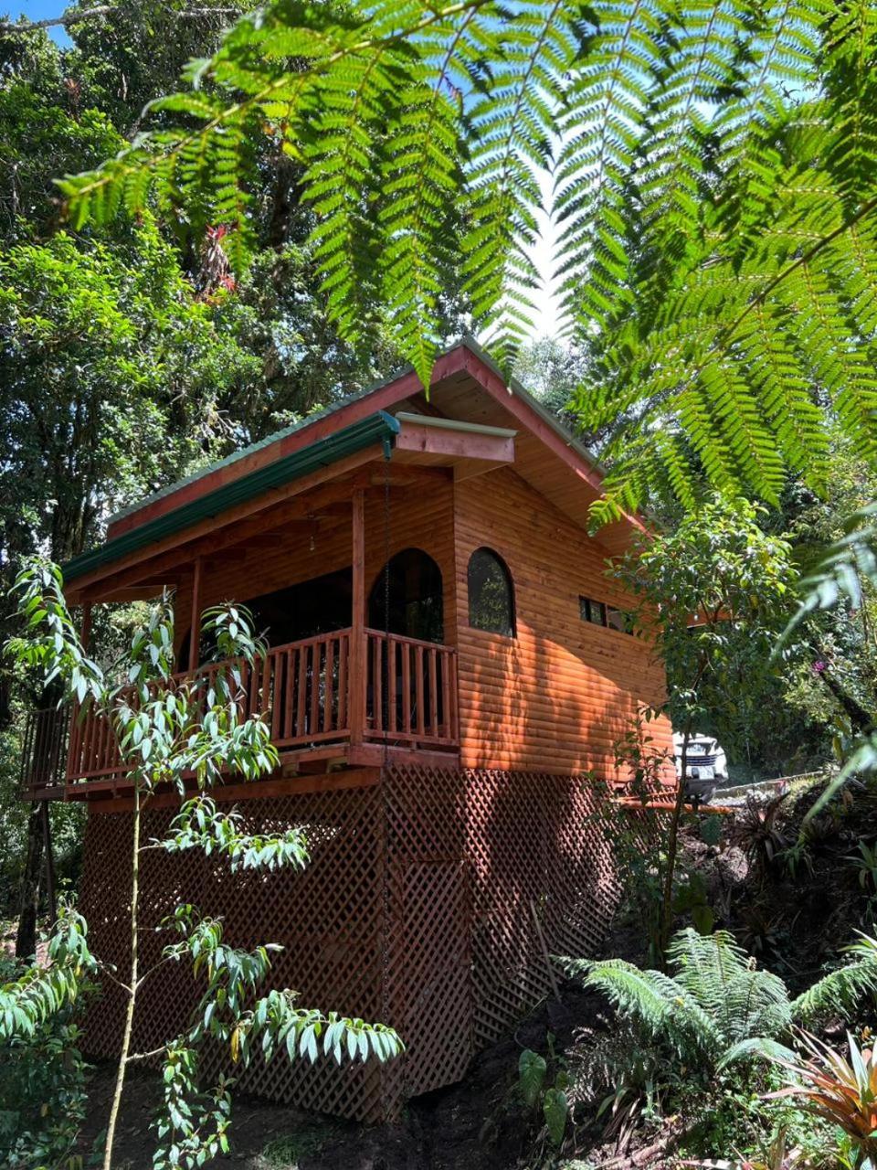 Cabana Anturios Сан-Хосе Екстер'єр фото