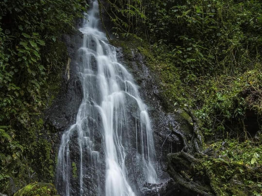 Cabana Anturios Сан-Хосе Екстер'єр фото